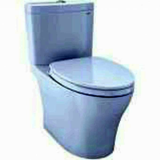 TOTO Aquia Dual Flush Verlängerte 2-teilige Toilette Bewertung